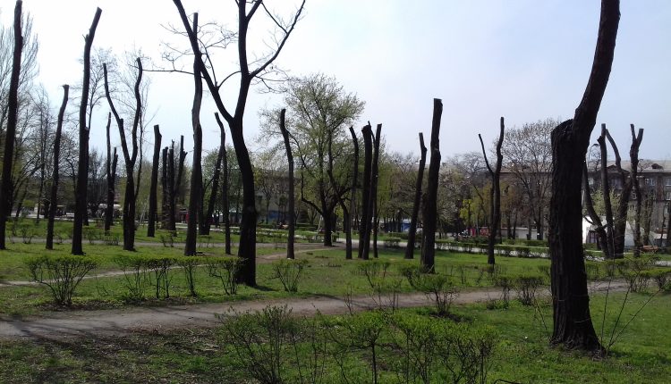 В Запорожском парке установят палатки, чтобы предотвратить строительство ТРЦ