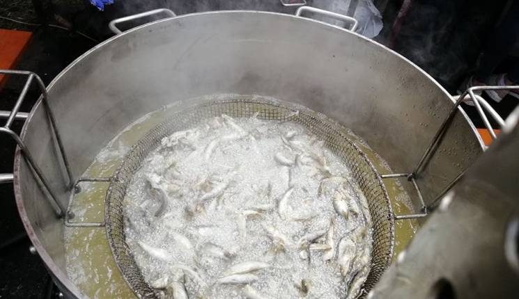 В Запорожье раздали 10 тысяч порций рыбы