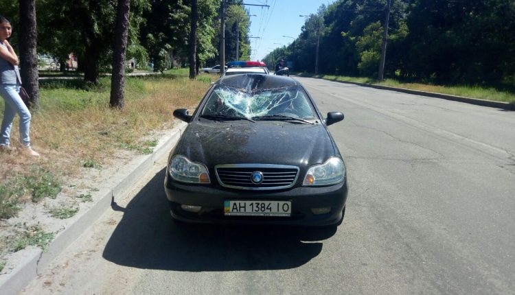 В Запорожье водитель сбил оленя