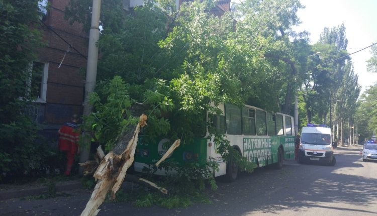 В Запорожье на троллейбус упало дерево, есть пострадавшие