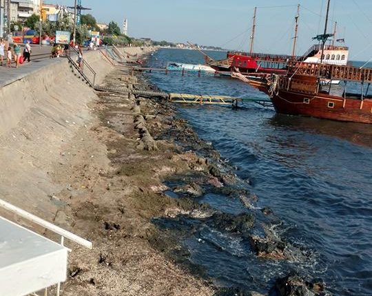 36859032_1746762152059415_2076017148836184064_n