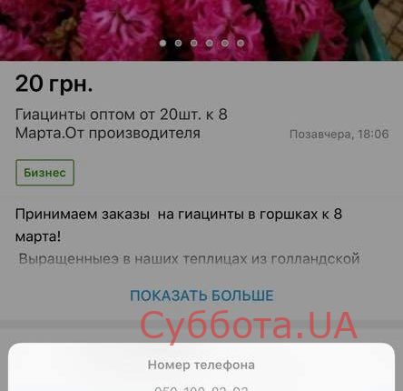 53081074_2072276116226209_1105016641978105856_n — копия