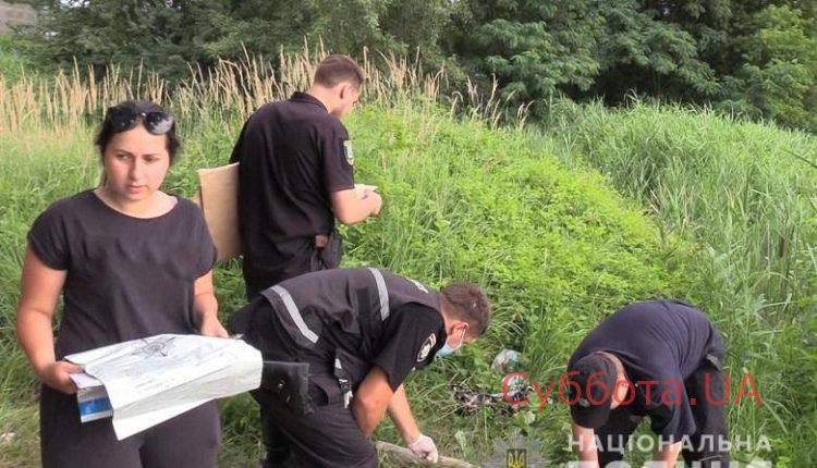 64915746_2276988182356940_2775863515460665344_n