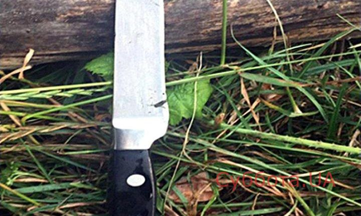 65206341_2276988262356932_5887379957759344640_n