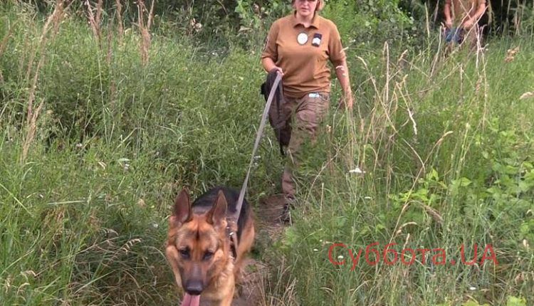 65319397_2276988189023606_4126567800191844352_n