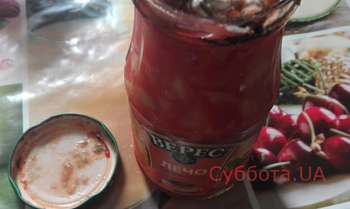 66312438_1942256765874201_7093599008622379008_n