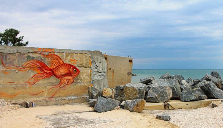 66578165_2312582195528292_5502417421929021440_o