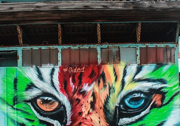 66626249_2305840952869083_3779930034932809728_n