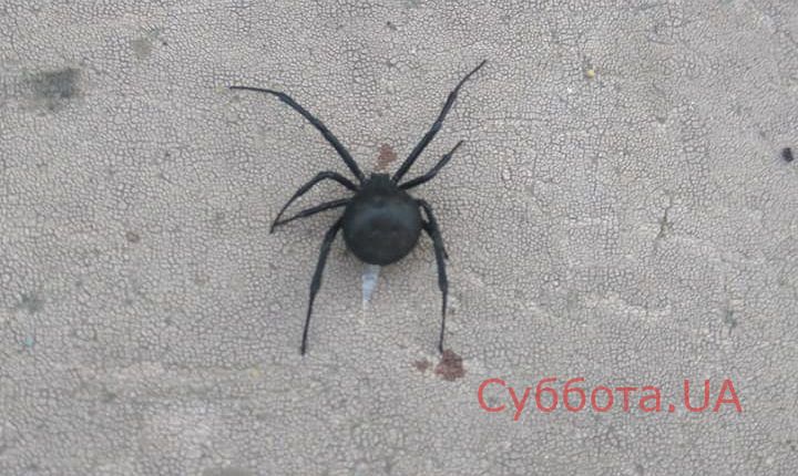 67416058_401496700480048_985829392548626432_n