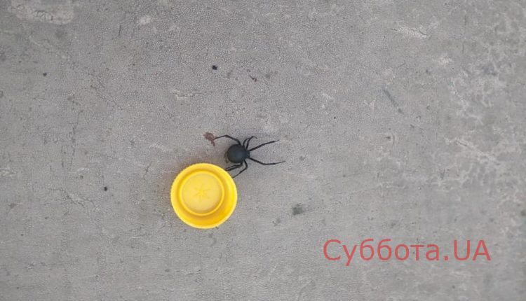 67459629_401496730480045_1310335466209280000_n