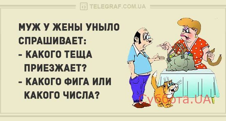1478092341_yumor2