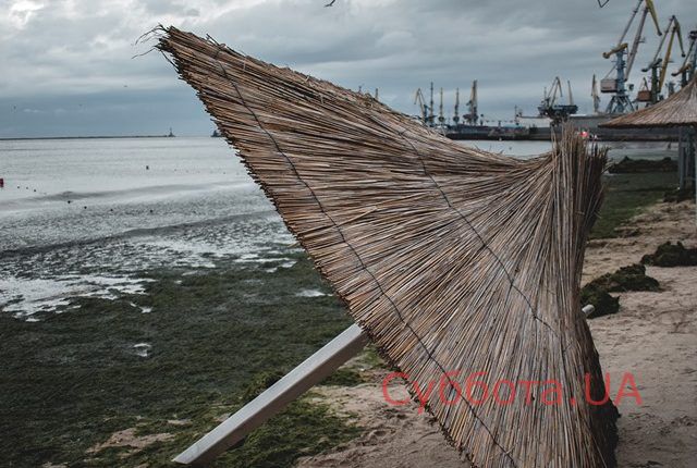 67967845_2886461134758794_2553879028415070208_n