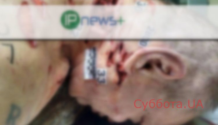 imgonline-com-ua-Blur-LEmII4YuKO