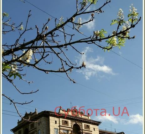 71863883_1335500096625258_3780940722341937152_n — копия