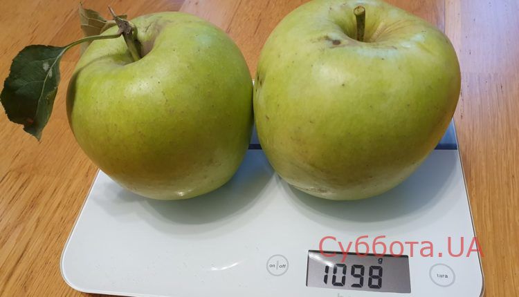 72278200_2213404228957130_2598309709177946112_o