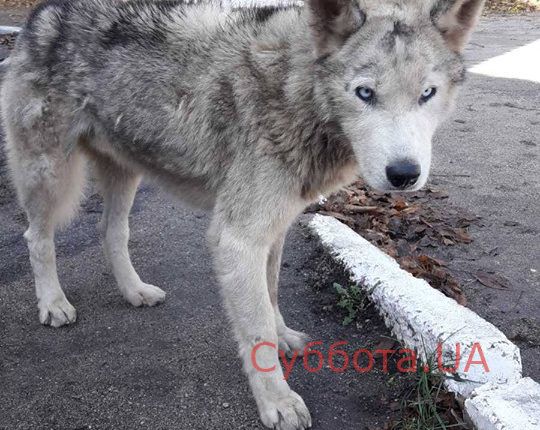 72468402_942845136083296_9099430396067577856_n