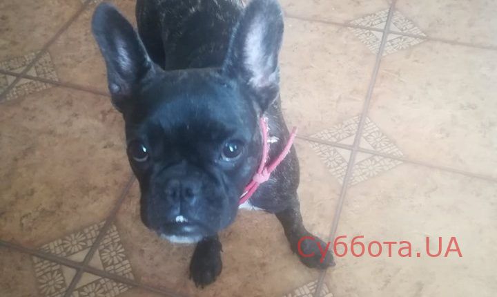 72949293_2355762644522329_1046155128798707712_n