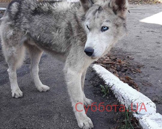 72986506_942845176083292_7802076653194051584_n