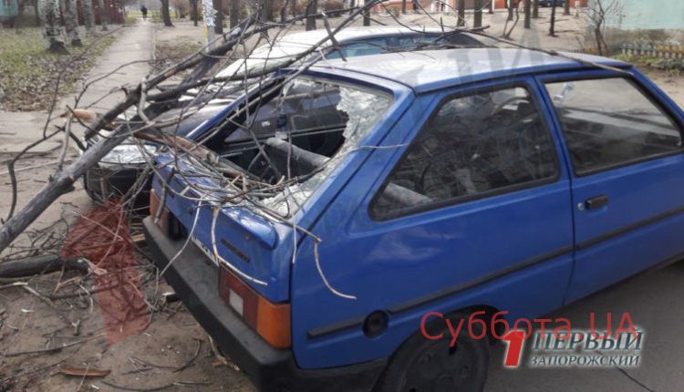 Tavriya-razbitaya-vetrom-i-vetkoj-2-768×432