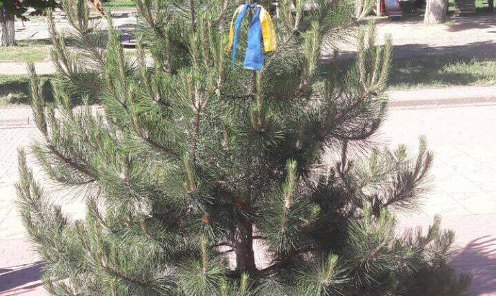 photo_2022-06-04_12-19-51 (2)